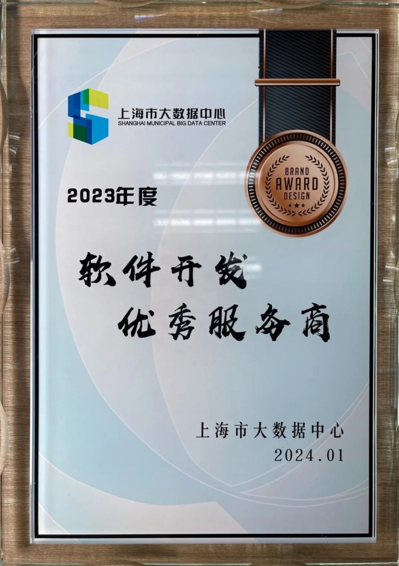 上海软件开发：从幕后英雄到科技先锋